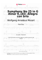 undefined Wolfgang Amadeus Mozart - Symphony No 25 in G minor K.183: Allegro con brio