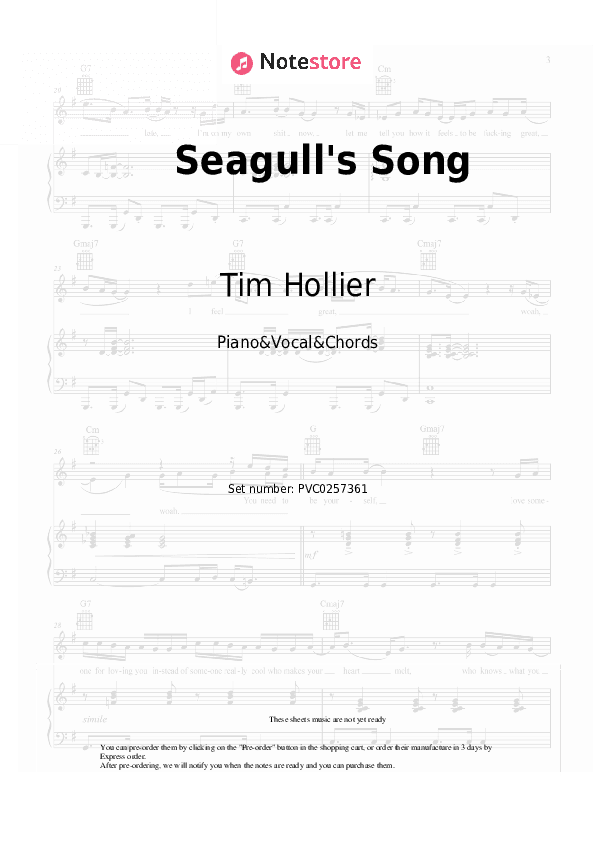 Seagull's Song - Tim Hollier Piano Sheet Music with the Vocal and Chords - Piano&Vocal&Chords