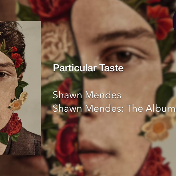 Shawn Mendes - Particular Taste piano sheet music