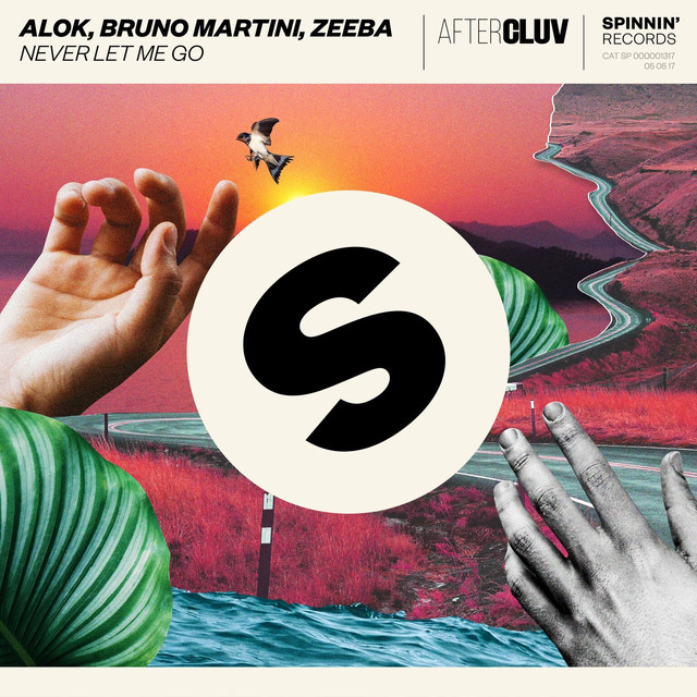 Alok, Bruno Martini, Zeeba - Never Let Me Go piano sheet music
