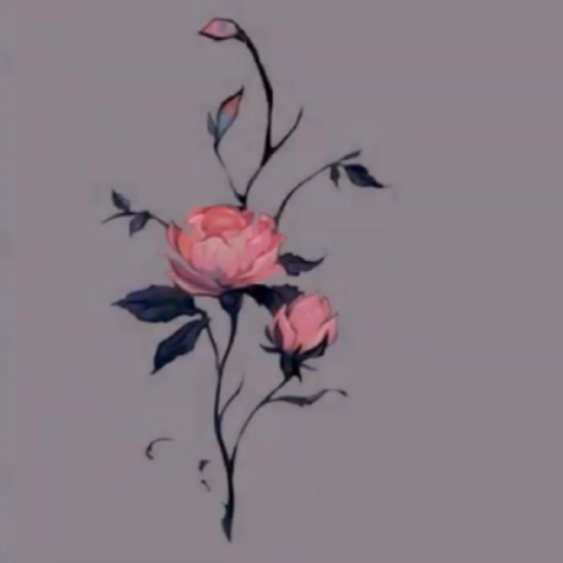 Maroon 5 - Plastic Rose piano sheet music