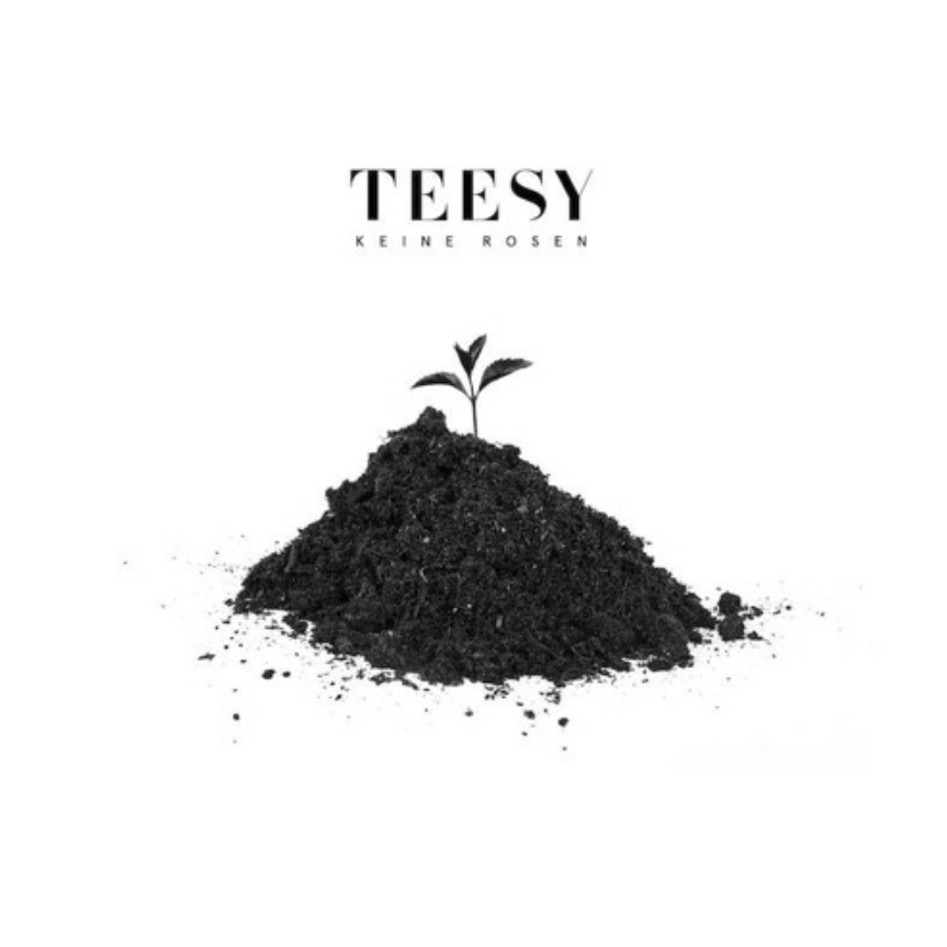 Teesy - Keine Rosen piano sheet music