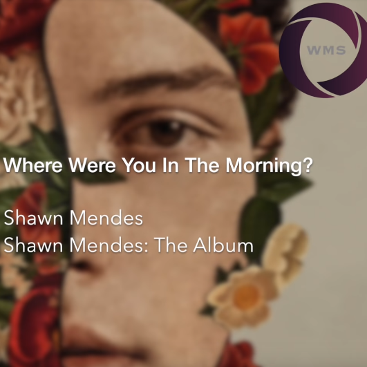 Shawn Mendes - Where Were You In The Morning? piano sheet music
