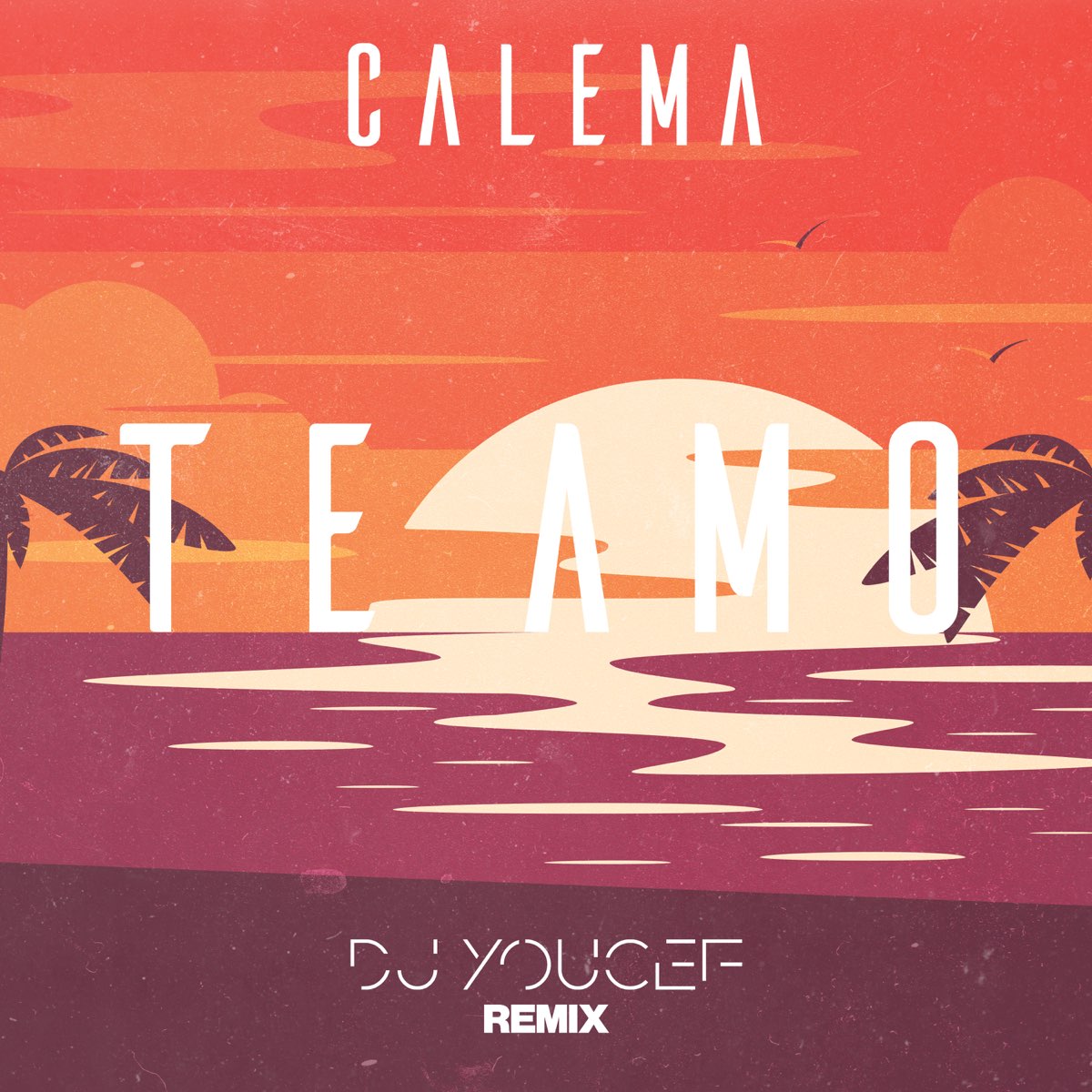 te amo dj youcef remix par calema & dj youcef