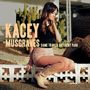 Kacey Musgraves - Follow Your Arrow piano sheet music