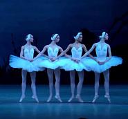 P. Tchaikovsky - Dance of small swans piano sheet music