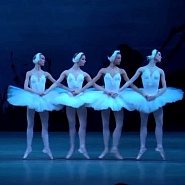 Pyotr Ilyich Tchaikovsky - Dance of small swans piano sheet music