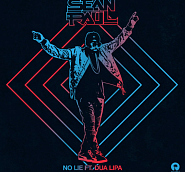 Sean Paul and etc - No Lie piano sheet music