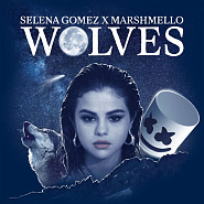 Selena Gomez and etc - Wolves piano sheet music