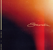 Shawn Mendes and etc - Senorita piano sheet music