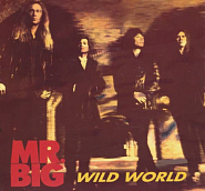 Mr. Big - Wild World piano sheet music