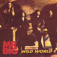 Mr. Big - Wild World piano sheet music