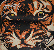 Survivor - Eye of the Tiger piano sheet music