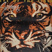 Survivor - Eye of the Tiger piano sheet music