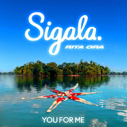 Sigala and etc - You for Me piano sheet music
