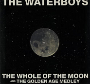 The Waterboys - The Whole of the Moon piano sheet music