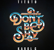 Tiësto and etc - Don't Be Shy piano sheet music