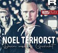 Noel Terhorst - Dein wahres Gesicht piano sheet music