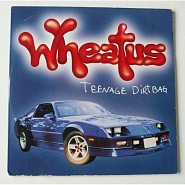 Wheatus - Teenage Dirtbag piano sheet music