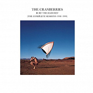 The Cranberries - Animal Instinct piano sheet music