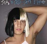 Sia - Bird Set Free piano sheet music