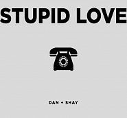 Dan + Shay - Stupid Love piano sheet music