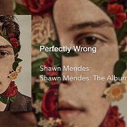 Shawn Mendes - Perfectly Wrong piano sheet music
