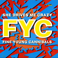 Fine Young Cannibals - She Drives Me Crazy piano sheet music