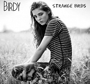 Birdy - Strange Birds piano sheet music