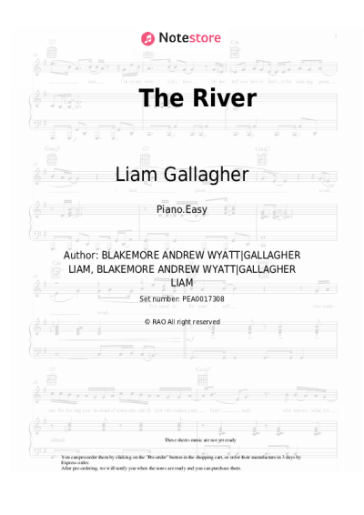 undefined Liam Gallagher - The River